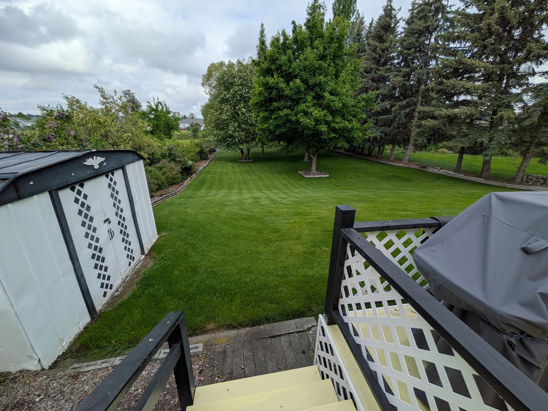 Back deck and lawn