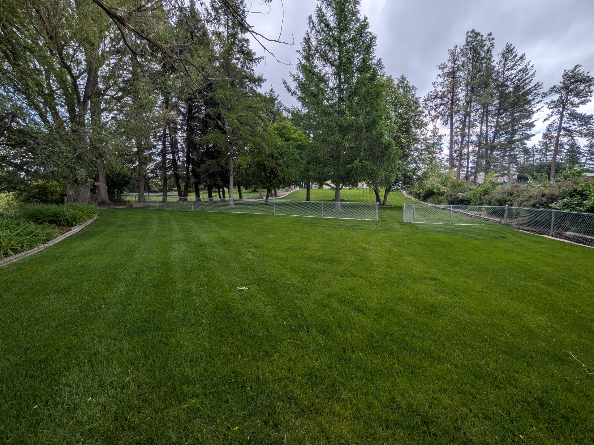 Wide view of the lawn and trees